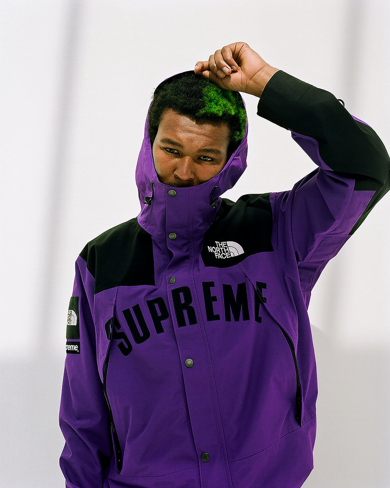 Supreme X The North Face SS19