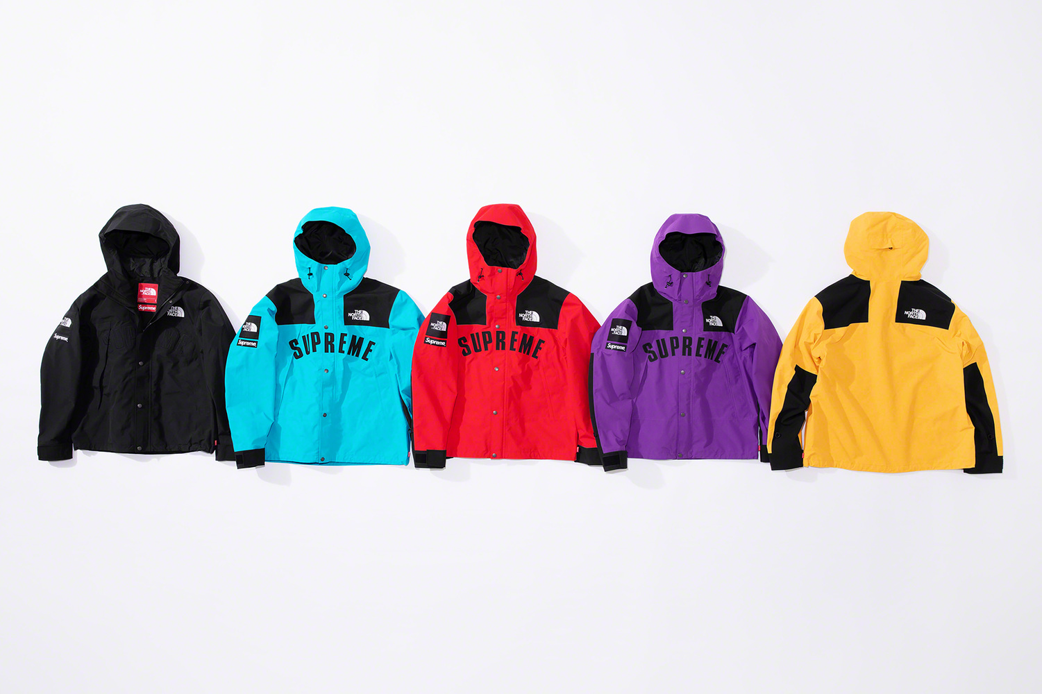 Supreme X The North Face SS19